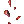 1000256.webp