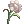 1001089.webp
