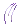 1017.webp