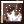 116.webp