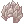 20250.webp