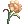 25774.webp