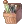 2807.webp