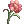 312510.webp