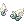 40300.webp
