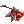 5548.webp