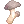 581.webp