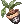 6217.webp