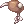 62437.webp