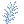 6257.webp