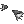 63056.webp