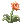 6511.webp