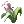 703.webp